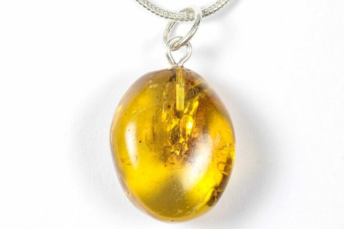 Polished Baltic Amber Pendant (Necklace) - Contains Fly! #357947
